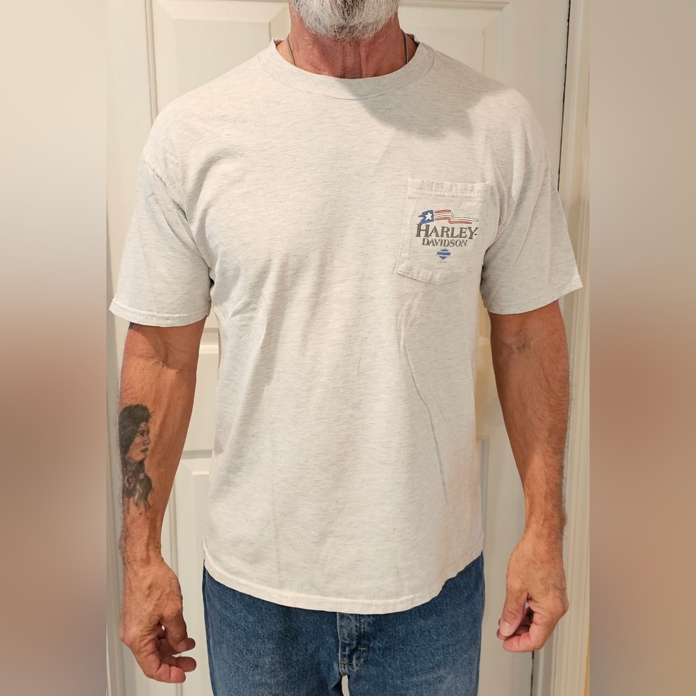 Harley-Davidson T-Shirt in Large.  Gray